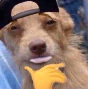 Meet your Posher, Hehdjsjshdudj